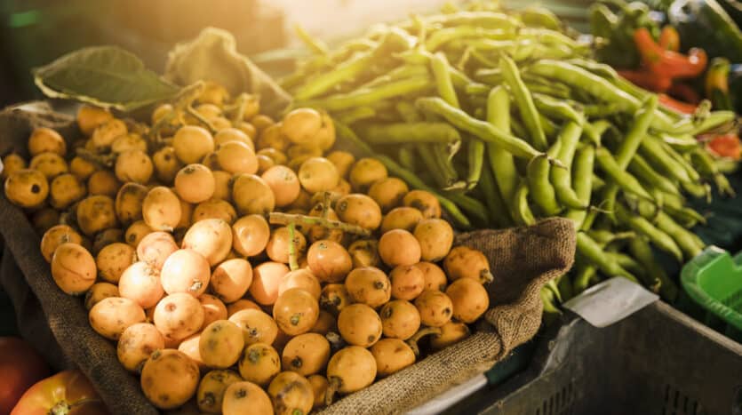 Colorful stalls at a local market in the Dominican Republic selling fresh fruits, vegetables, and handmade crafts.