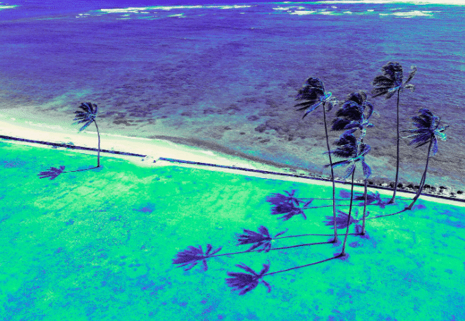 Sunny tropical beach with calm turquoise waters in the Dominican Republic during winter.