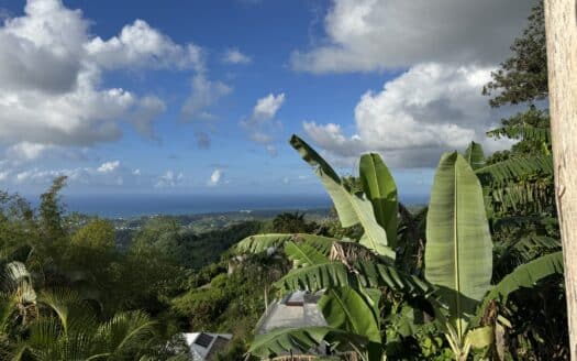 Villa con vistas panorámicas al océano: su refugio privado en la cima de una colina.