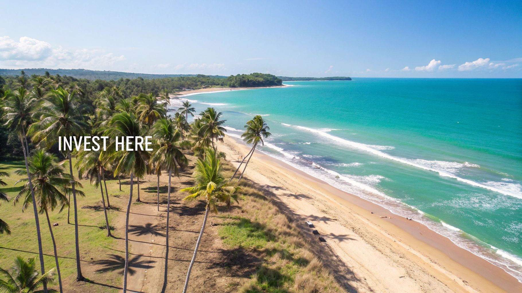 Stunning aerial view of a tropical beach with turquoise water, sand, palm trees, and 'INVEST HERE' text.