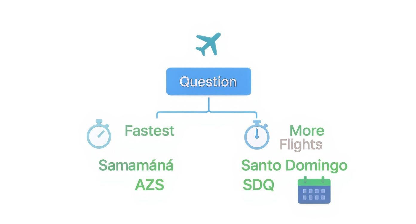 Flight comparison chart showing options for fastest routes to Samaná AZS versus more flights to Santo Domingo SDQ.