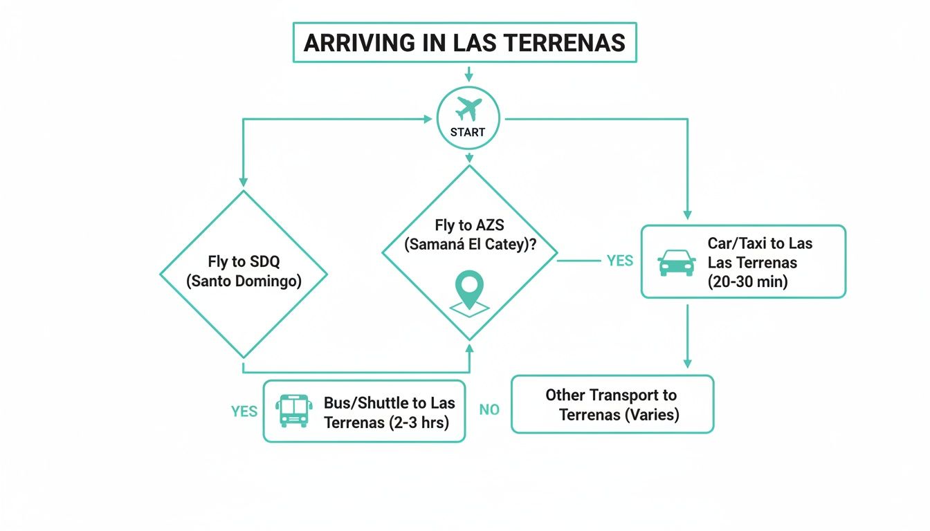 Flowchart detailing various travel options and ground transport routes for arriving in Las Terrenas.