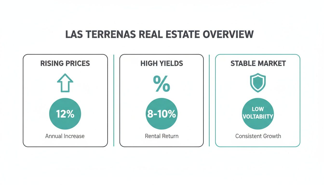 Infographic showing Las Terrenas real estate market overview with rising prices, high yields, and a stable market.
