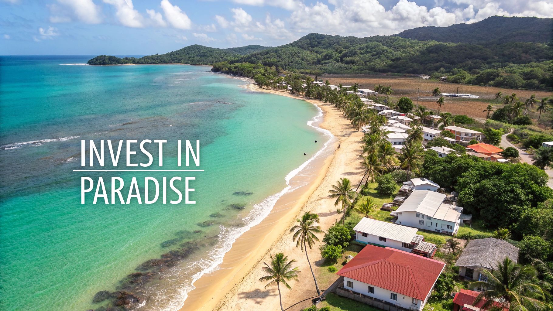 Aerial view of a stunning tropical beach with turquoise water, palm trees, and coastal houses.